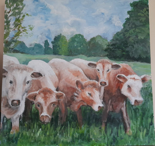 Gail, Cows in Hawes, acrylic.jpg